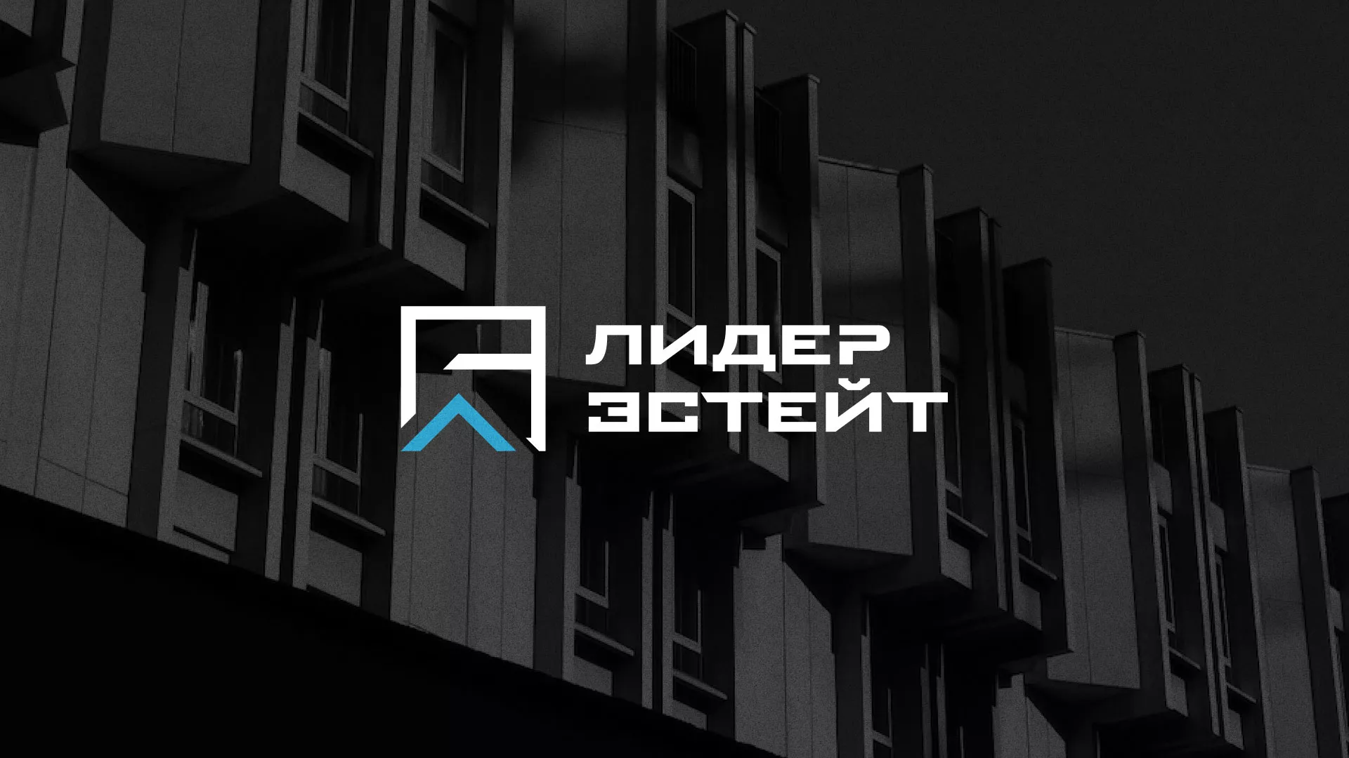 Разработка логотипа агентства недвижимости «Лидер Эстейт» в Амурске
